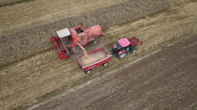 Żniwa, zbi&oacute;r zb&oacute;ż, kombajn Bizon