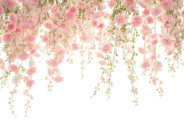Obraz premium PNG Hanging pink floral blossoms
