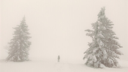 Snow covered trees smog person walking in the smog 