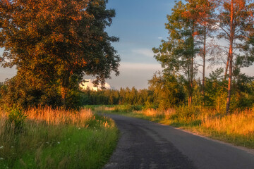 road in autumn
