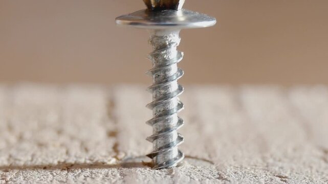 close up of screw