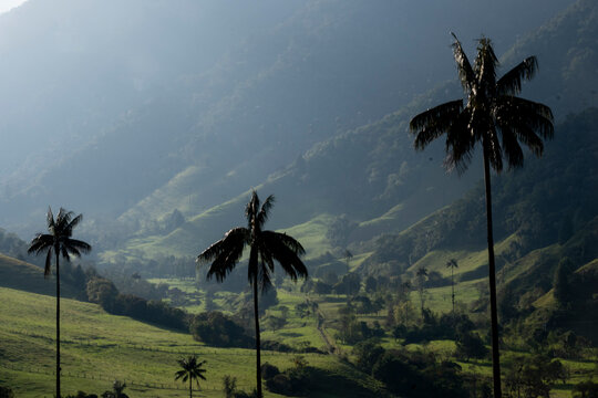 2024-Colombie-0697