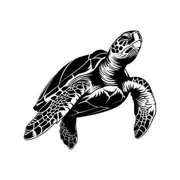 recommend clip art: a black line vector illustration of a sea turtle, showcasing detailed patterns on its shell, flippers, and head with a clean, stylized design.