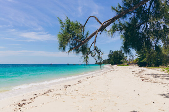 Beautiful scene of a white sand beach and tropical vegetation along Puru Kambera Beach, East Nusa Tenggara, Indonesia; Hamba Praing, Kanatang, East Sumba Regency, East Nusa Tenggara, Indonesia