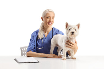 Veterinarian in a blue uniform sitting with a westie terrier dog on a table