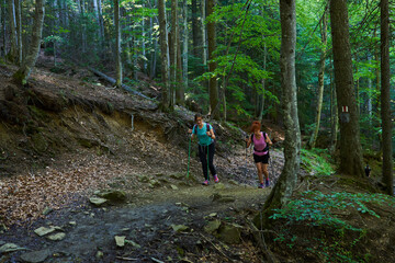 Obraz premium Women hikers with backpacks and poles in the forest