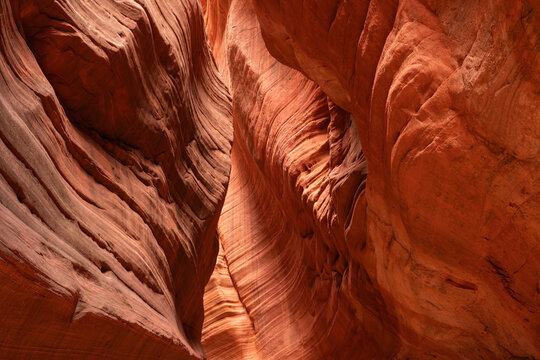 Striated corridors of Mystic Canyon are amazing to walk through and explore. Eons of erosion have created amazing feats of nature; Kanab, Utah, United States of America