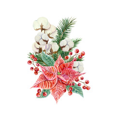 Christmas flowers. Poinsettia, fir branches, cotton, berries. Hand drawn watercolor illustration isolated on white background. For New Year cards, invitations, banners, posters, covers, labels.