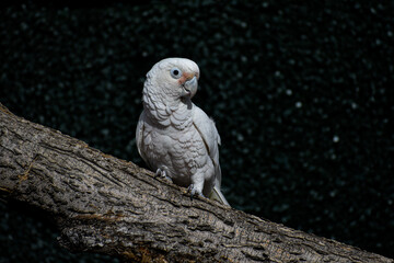 Make Sure You Get My Good Side