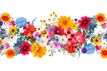 Vibrant floral border design