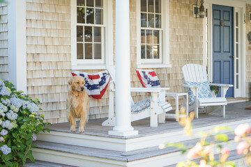 Golden Retriever standing on summer decorated front porch