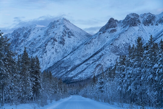 Winter landscapes of majestic mountains along the tree-lined Annie Lake Road at blue hour make for beautiful drives as sunrise begins to color the skies; Whitehorse, Yukon, Canada
