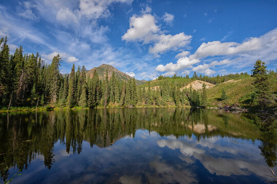 Tree-lined shore and summer sky reflected in a small pond near Annie Lake; Whitehorse, Yukon, Canada