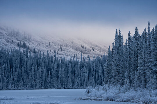 Winter sets in the Yukon as the mountains and trees surrounding Annie Lake come alive in sublime snow and light; Whitehorse, Yukon, Canada