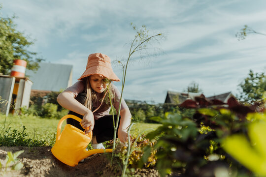 Girl watering plants in garden with yellow watering can on a sunny day