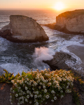Shark Fin Cove near Santa Cruz, California