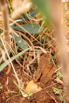Unexploded bomb from the Vietnam war era in Kok Phung Tai community village in Laos; Laos