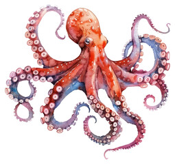 Obraz premium PNG Vibrant watercolor octopus illustration
