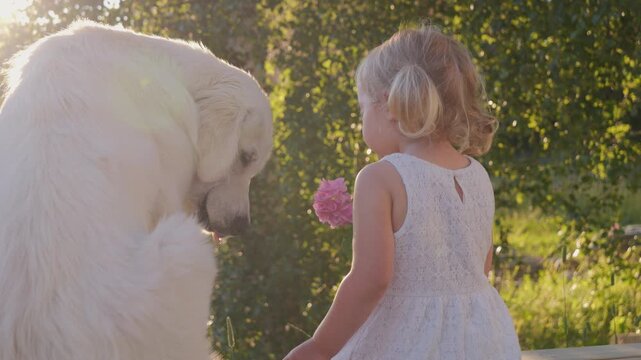 Golden Retriever Dog and Blonde Toddler Girl as Best Friends