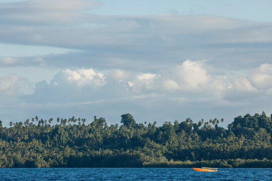 Lush tropical vegetation along the coastline of Bolilanga Island in the Togean Islands of Indonesia