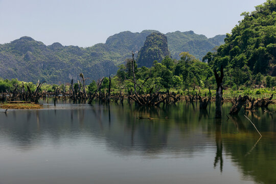 Trees growing in the tranquil Mekong River water in the Thakhek Loop area in Laos; Laos
