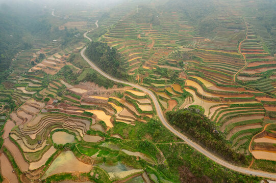 Road winding through vast terraced farmland in Vietnam; Nam Pam, Muong La District, Son La, Vietnam