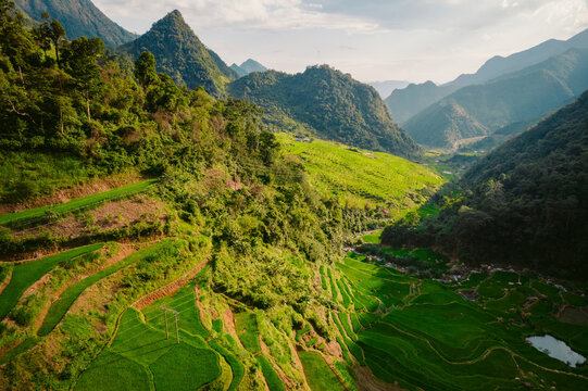 Green lush farmland in terraces on a mountainous terrain, Vietnam; Nam Pam, Muong La District, Son La, Vietnam