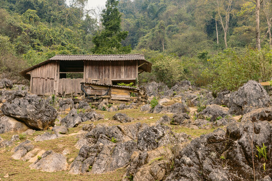 Traditional wooden structure built on a rocky terrain in a village in Son La, Vietnam; Ta So village, Moc Chau District, Son La, Vietnam