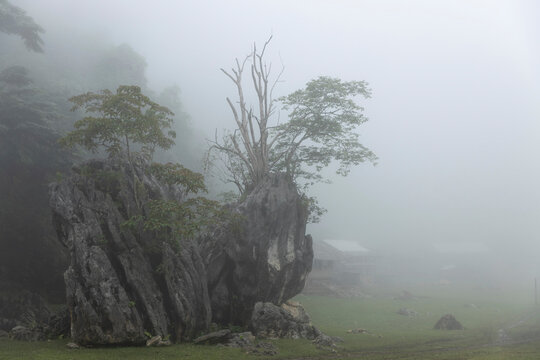 Thick fog obscures the view of a farm in Ta So village, Son La Vietnam; Ta So village, Moc Chau District, Son La, Vietnam