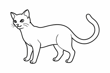 cat vector line art illustrator