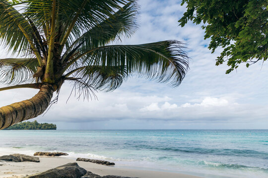 Beautiful beach named Pantai Kelapa Lima (5 coconuts) along the coast of Central Sulawesi, Indonesia; Kelapa Lima, Banggai Laut, Central Sulawesi, Indonesia