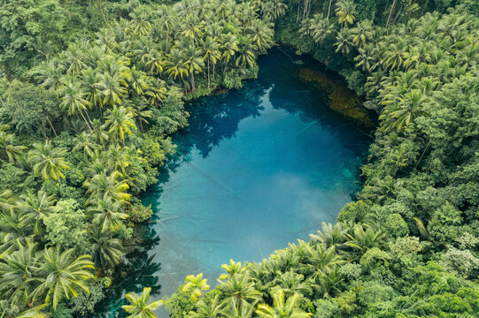 Beautiful tropical lake with clear water and palm trees, Danau Paisu Pok Luk Panenteng, Indonesia; Danau Paisu Pok Luk Panenteng, Kabupaten Banggai Kepulauan, Sulawesi Tengah, Indonesia