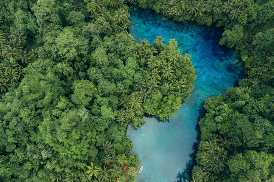 Beautiful tropical lake with clear water and palm trees, Danau Paisu Pok Luk Panenteng, Indonesia