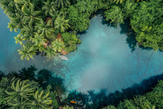 Beautiful tropical lake with clear water and palm trees, Danau Paisu Pok Luk Panenteng, Indonesia; Danau Paisu Pok Luk Panenteng, Kabupaten Banggai Kepulauan, Sulawesi Tengah, Indonesia