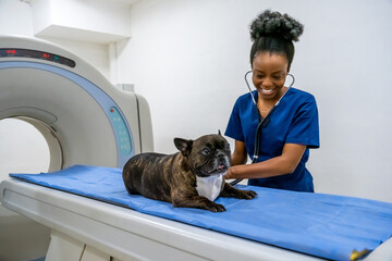 Dark-skinned veterinarian examining a dog before having MRI procedure