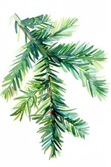 Naklejka premium Watercolor painting of fir tree branch with green needles. The painting has a serene and calming mood, with the blue and green colors blending together to create a peaceful atmosphere