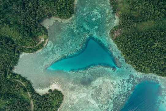 Beautiful tropical lake with clear water and palm trees, Danau Paisu Pok Luk Panenteng, Indonesia; Danau Paisu Pok Luk Panenteng, Kabupaten Banggai Kepulauan, Sulawesi Tengah, Indonesia