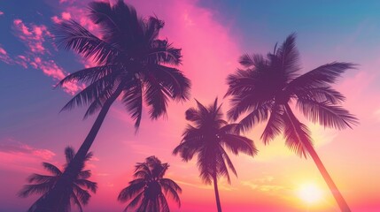 Coconut Pastel. Stunning Silhouette of Palm Trees at Pink Sunset