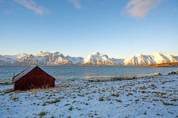 Fototapete bei efototapeten.de bestellen   