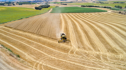 Obraz premium Combine Harvester in a Wheat Field, Oteiza