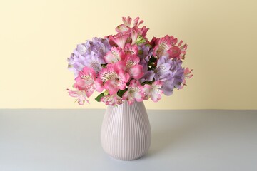 Beautiful alstroemeria flowers in vase on color background