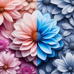 Obraz premium a beautiful flower with a background of two colors