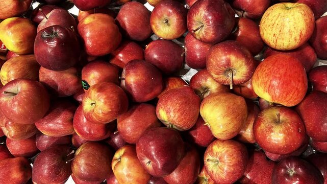 Red Apple fruit with top shot pattern, background pan shot, food, fresh and natural, organic and bio
