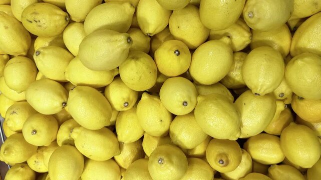 Lemon fruit with top shot pattern, background pan shot, food, fresh and natural, organic and bio