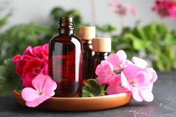 Bottles of geranium essential oil and beautiful flowers on black table, closeup