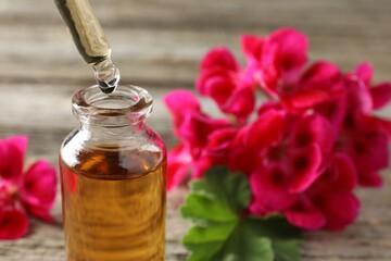 Geranium essential oil dripping from pipette into bottle on table, closeup