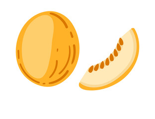 Whole yellow melon and tasty sweet slice with seeds. Honeydew piece with ripe flesh. Healthy vitamin nutrition. Vector illustration isolated on white background