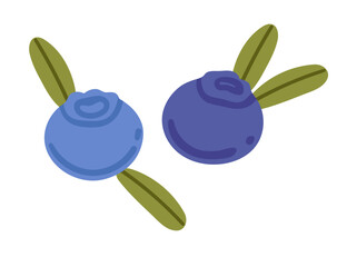 Two blueberries with green leaves. Ripe fresh raw berries. Sweet vitamin healthy nutrition. Simple cartoon style, flat vector illustration isolated on white background