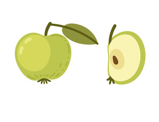 Green whole apple with green leaf and slice of apple with seed. Fruit cross section with flesh, stem and leaf. Juice healthy vitamin nutrition. Vector illustration isolated on white background