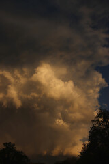 Incoming Storm through the Trees